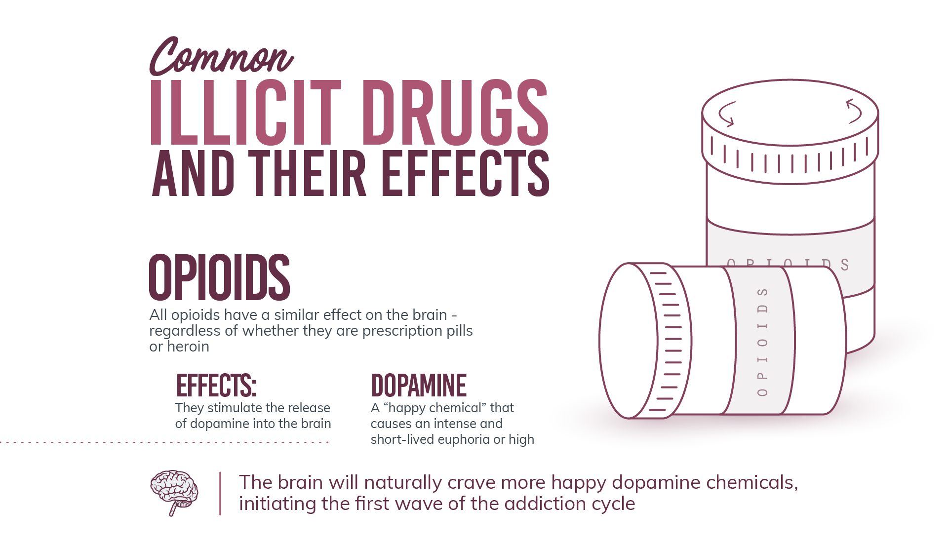 Opiods are a common illicit drug, all opiods have a similar effect on the brain regardless of whether they are prescription pills or heroin, opiods stimulate the release of dopamine into the brain, dopamine is a "happy chemical" that causes an intense and short-lived euphoria or high. The brain will naturally crave more happy dopamine chemicals. initiating the first wave of the addiction cycle