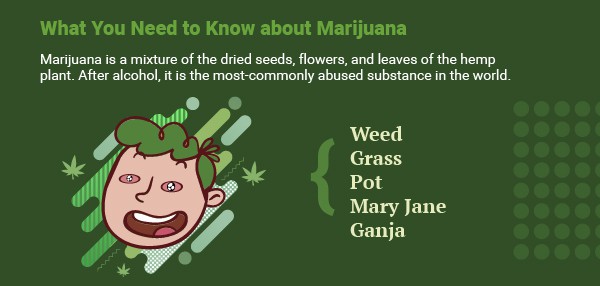 What You Need to Know about Marijuana