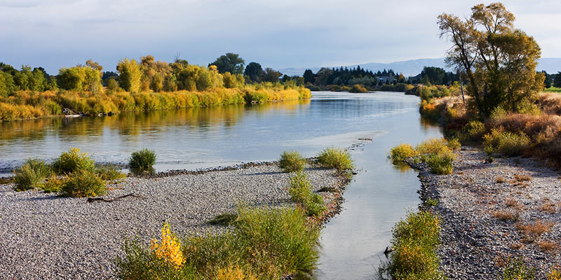 Idaho brings help to loved ones having addict people inside they enviroment