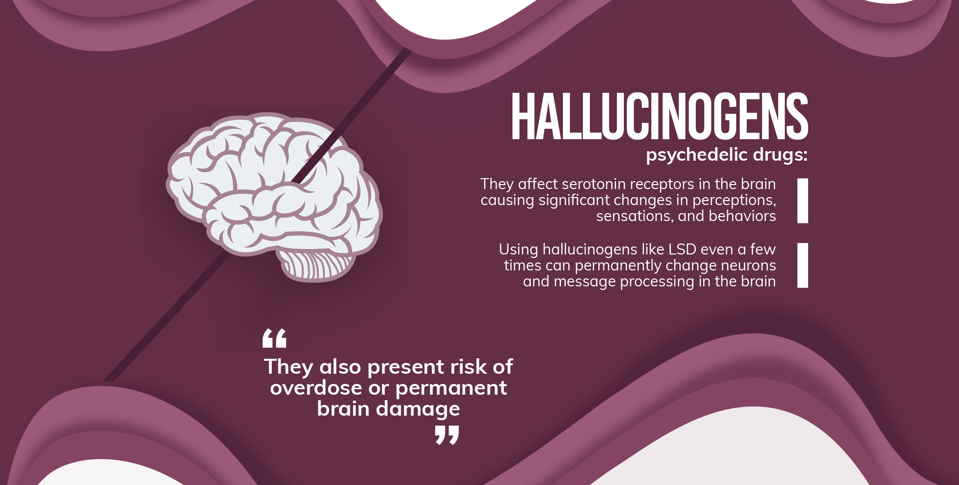 Hallucinogens are psychedelic drugs, they affect serotonin receptors in the brain causing significant changes in perceptions, sensations andbehaviors, using hallucinogens like LSD even a few times can permanently change neurons and message processing in the brain, hallucinogens alsopresent risk of overdose or permanent brain damage0