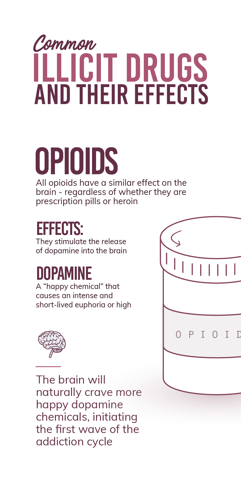 The Stimulants, also known known as "uppers" include drugs such as cocaine, meth, ectasy, and prescription study aids like ritalin and adderall. People take stimulants to increase work productivity, stay up longer, party harder, perform better in sexual encounters.  the stimulants stimulate the release of dopamine as well as norepinephrine and serotonin