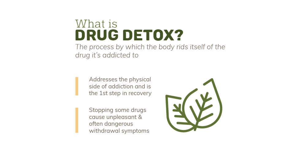 Information on Edmonds Detox