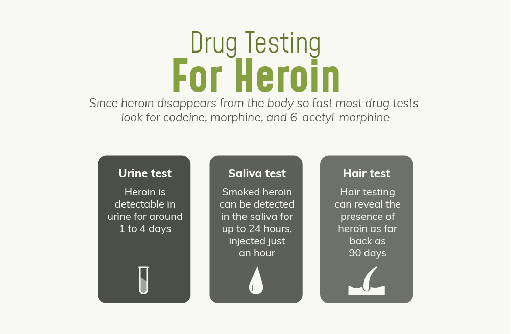 Since heroin disappears from the body so fast most drug test look for codeine, morphine, and 6 acetyl morphine. Urine tests are available to detect heroin, heroin is detectable in urine for around 1 to 4 days, saliva tests are available to detect heroin, smoked heroin can be detected in the saliva for up to 24 hours, injected just an hour, hair tests are available to detect heroin, hair testing can reveal the presence of heroin as far back as 90 days