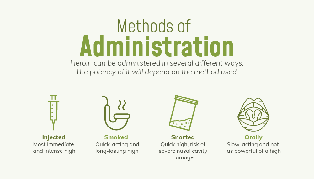Heroin can be administered in several different ways. the potency of it will depend on the method used. heroin can be injected, when injected, the person experience the most immediate and intense high. Heroin can be smoked, when heroin is smoked is quick acting and the high is long lasting. Heroin can be snorted, when snorted the user have a quick high and also a risk of severe nasal cavity damage. Heroin can be taken orally which causes the heroin be slow acting and not as powerful of a high