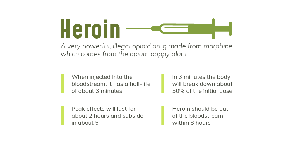 Heroin is a very powerful, illegal opioid drug made from morphine, which comes from the opium poppy plant, when injected into the bloodstream, it has a half life of about 3 minutes, peak effects will last for about 2 hours and subside in about 5, in 3 minutes the body will break down about 50 percent of the initial dose, heroin should be out of the bloodstream within 8 hours