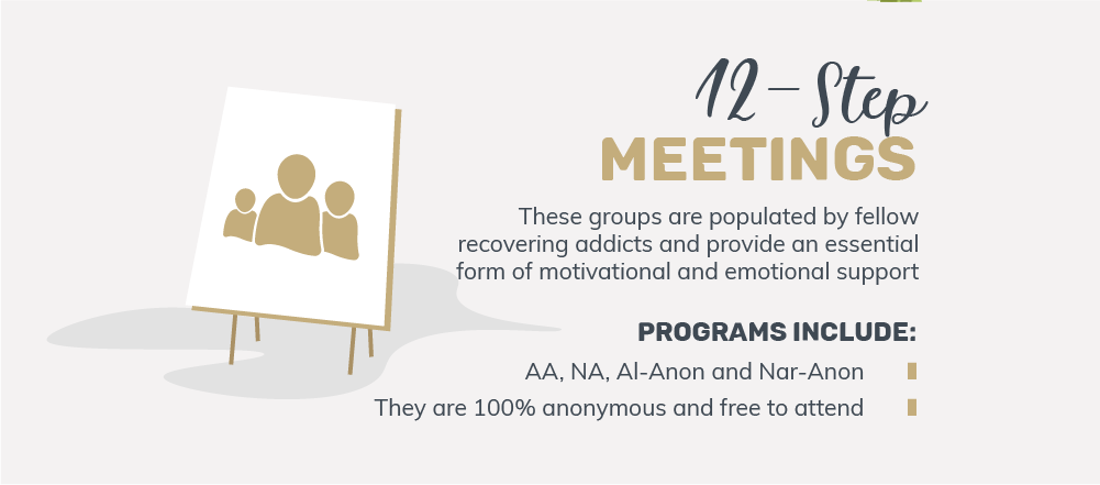 12 step meetings groups are populared by fellow recovering addicts and provide an essential form of motivational and emotional support, 12 step meetings groups examples are programs like alcoholics anonymous, narcotics anonymous, al anon and nar anon, these programs are 100 percent anonymous and free to attend