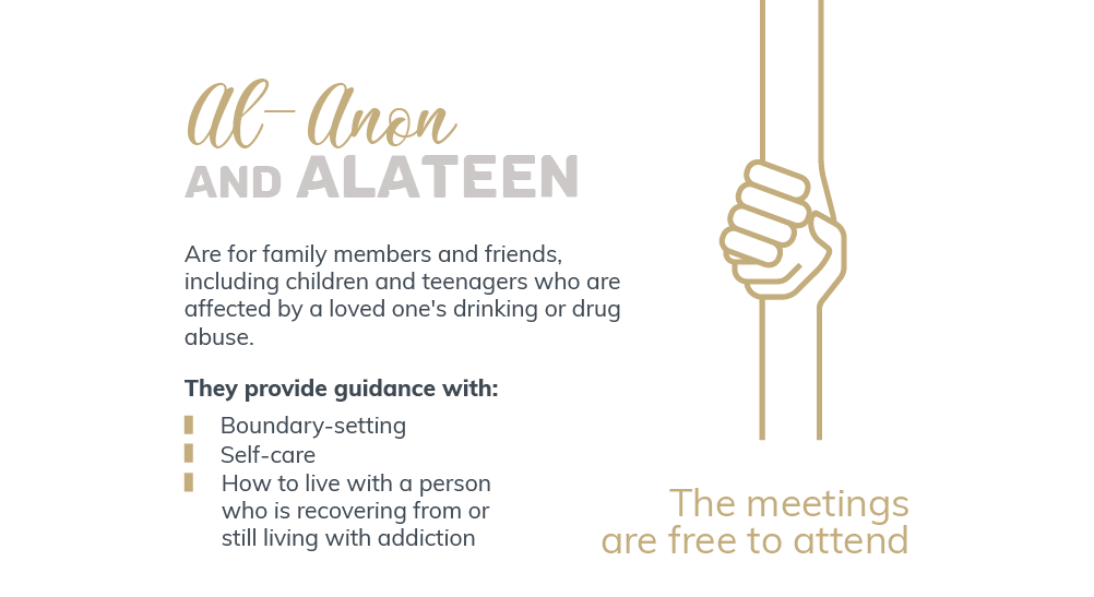 Al anon and alateen are for family members and friends, including children and teenagers who are affected by a loved one's drinking or drug abuse, they provide guidance with boundary setting, self care, how to live with a person who is recovering from or still living with addiction, the meetings are free to attend