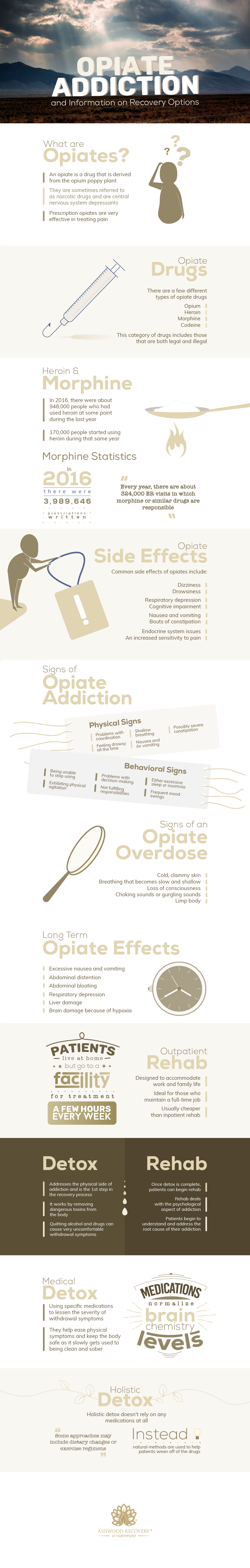 Opiate Addiction Resources Infographic