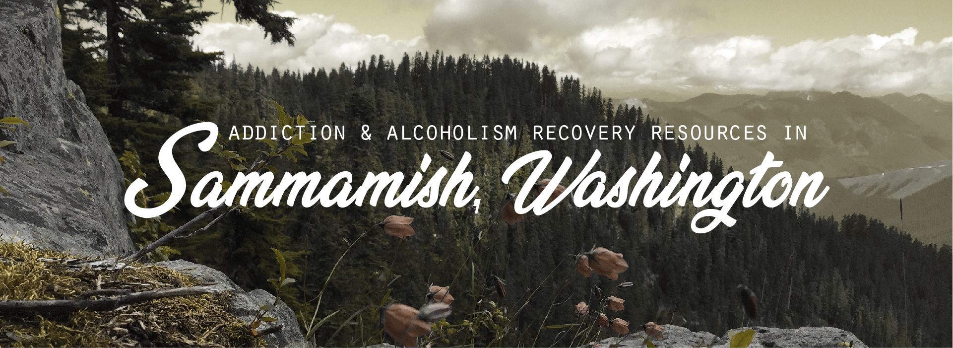 Addiction and alcoholism recovery resources in Sammamish, Washington