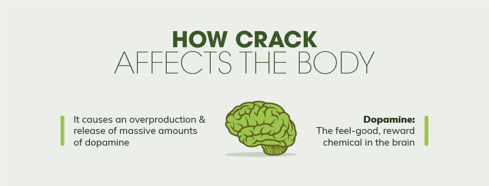 Crack causes an overproduction and release of massive amounts of dopamine. Dopamine is the feel good, reward chemical in the brain