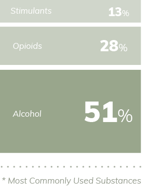13% of the people admitted to Northpoint consumes stimulants, 28% consumes opioids and 51% consumes alcohol