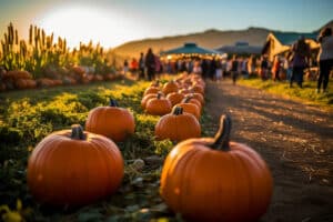 View that makes one think of fall activities